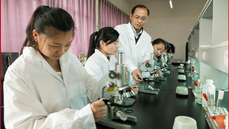 医药招商利润空间：如何科学评估与优化