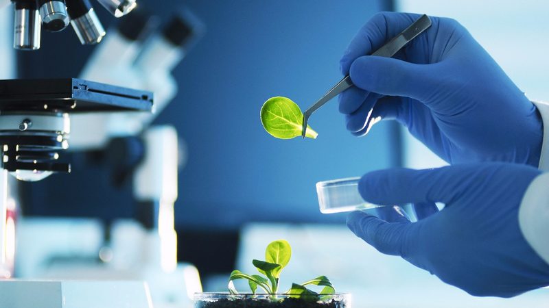 医药流通企业营收对比：标准与关键因素解析