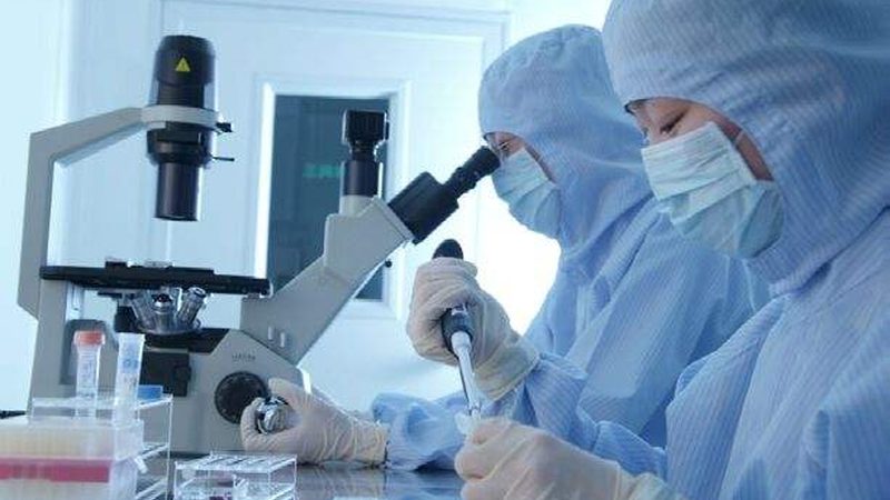 明胶空心胶囊：揭秘其批发价格背后的秘密