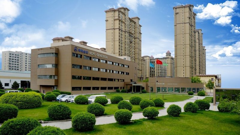 OEM与ODM：揭秘制药行业的两种合作模式